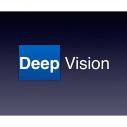 Deep Vision Logo